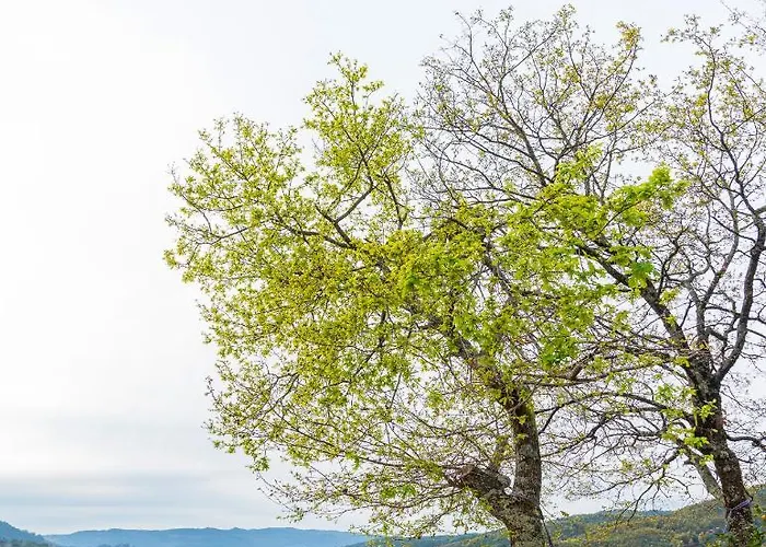 펜션 Refugio Do Jugo